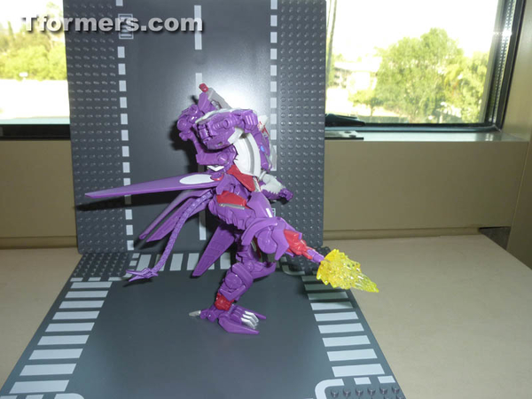 Botcon 2014 Knight 3 Pack Attendee Set  (12 of 82)